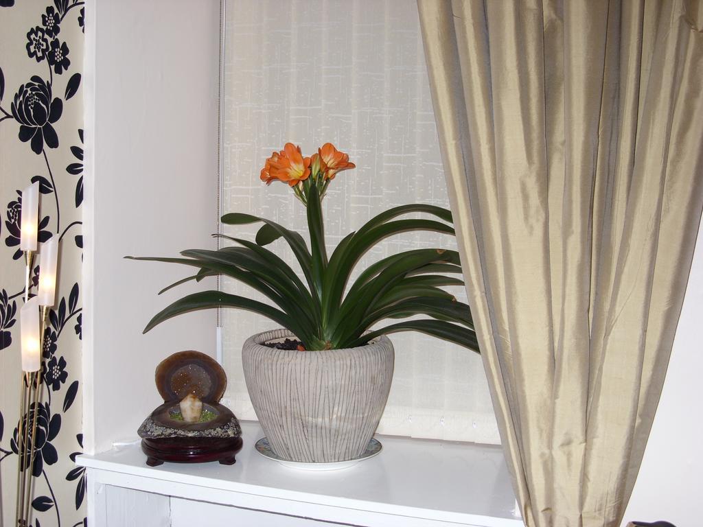 Alba Guest House Абърдийн Екстериор снимка